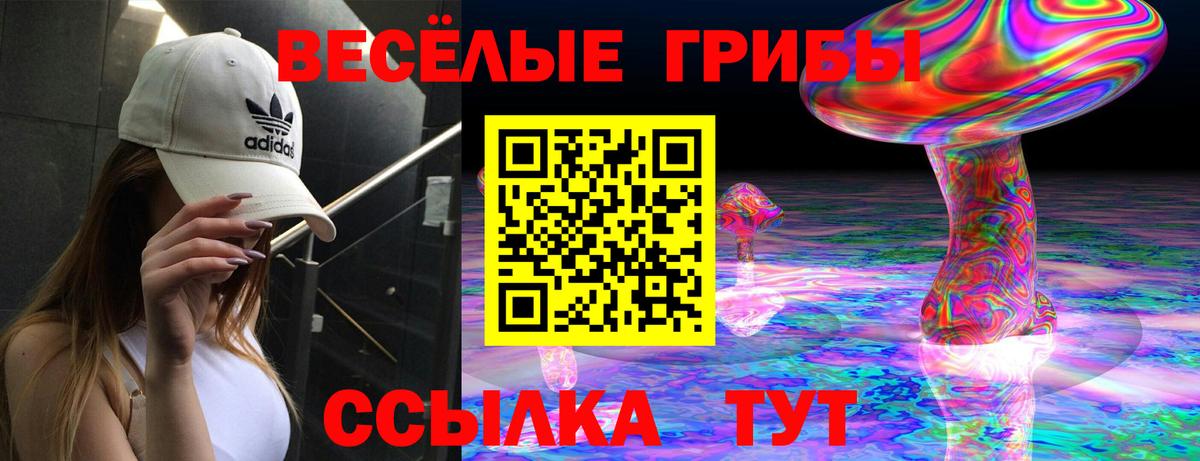 Галлюциногенные грибы Psilocybine cubensis Минусинск